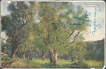 Ελαιών Κερκύρας